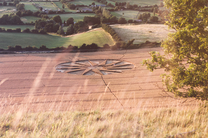 Kornkreis-20.07 Kornkreis in Wiltshire, England