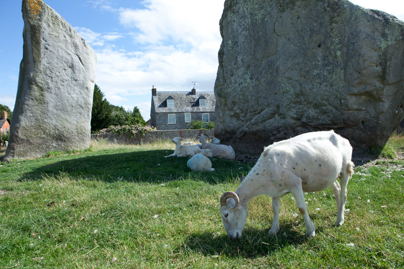 Steinkreis in England, Avebury